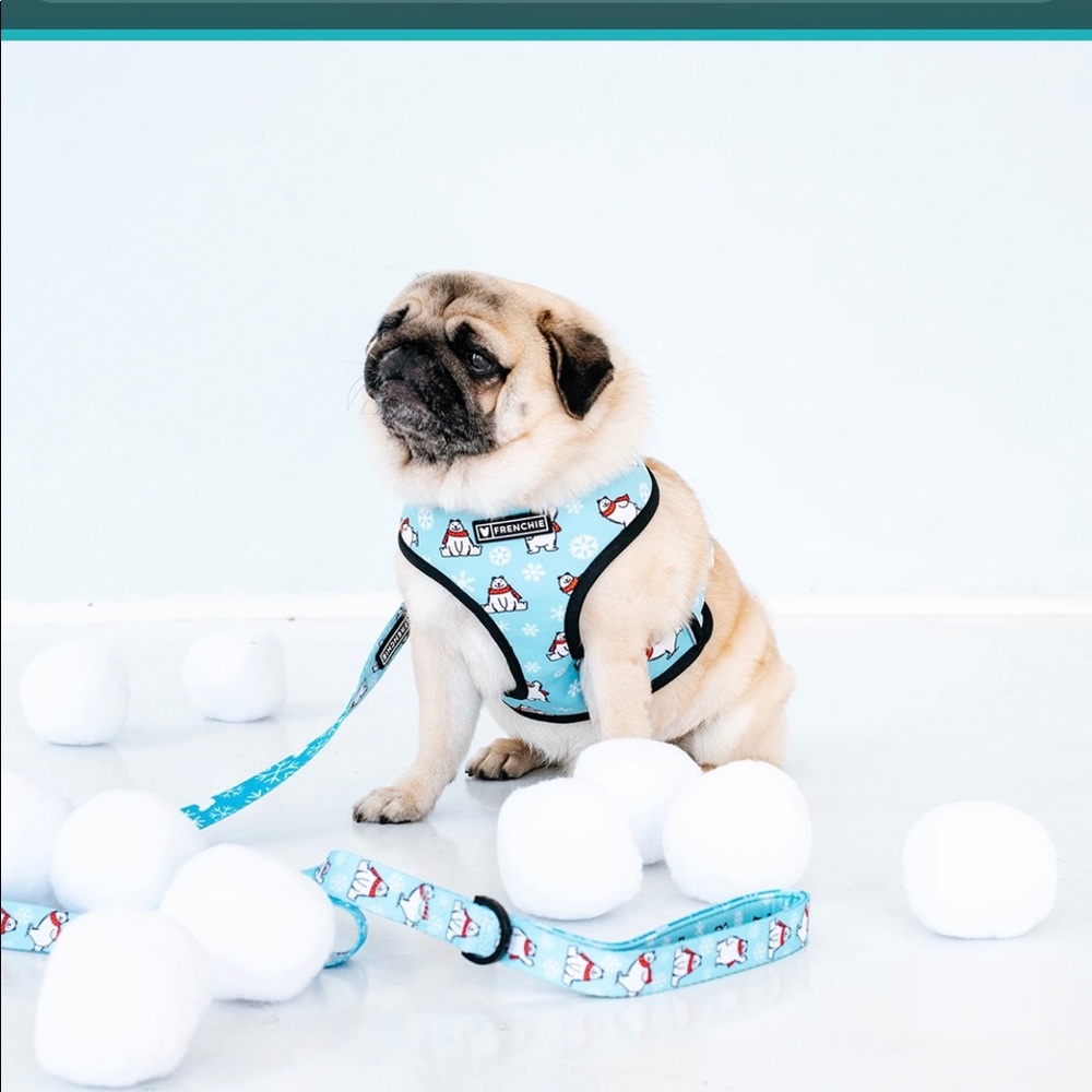 FRENCHIE DUO REVERSIBLE HARNESS AND COMFORT LEASH - Picture 2 of 3